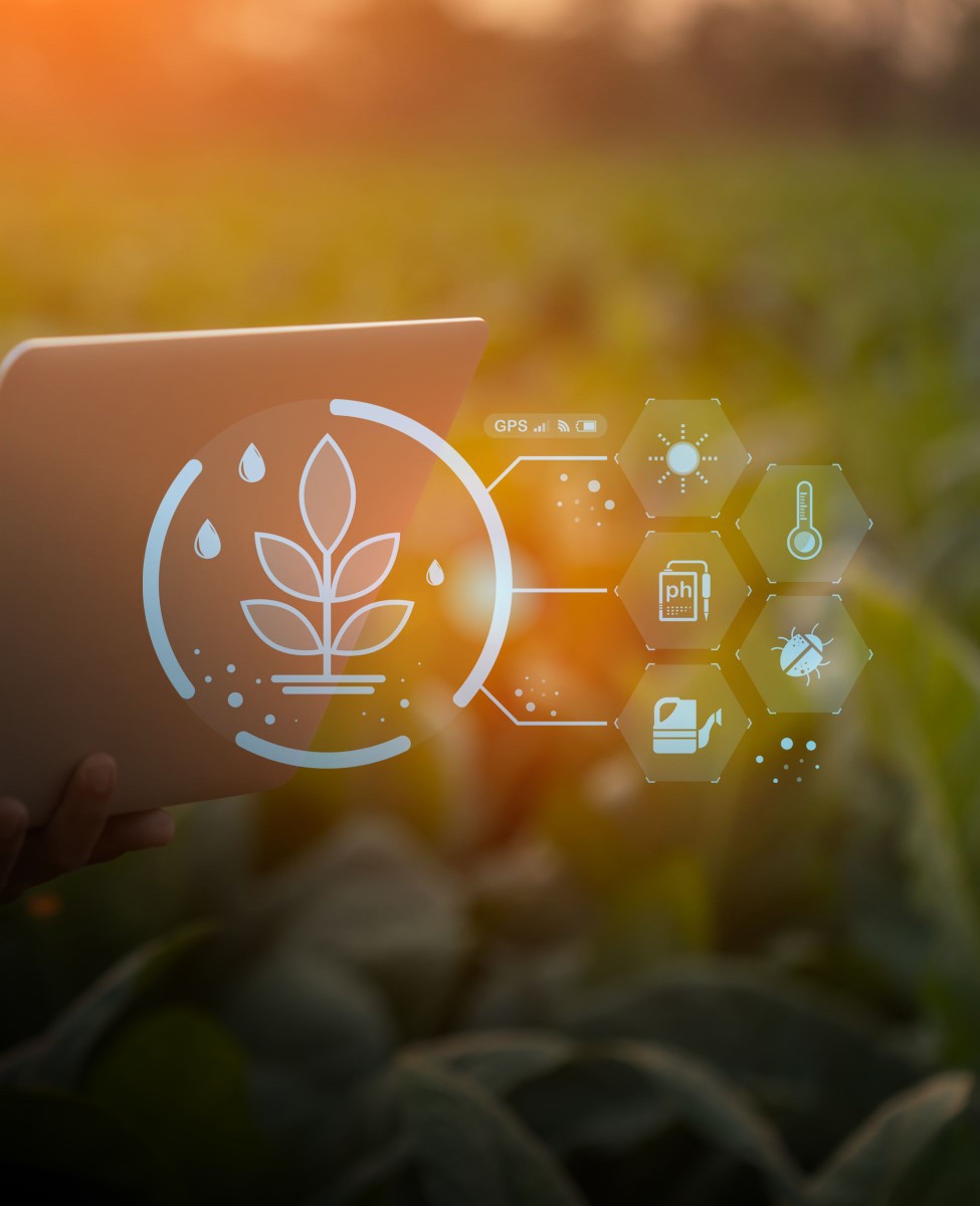 Crop Health Monitoring