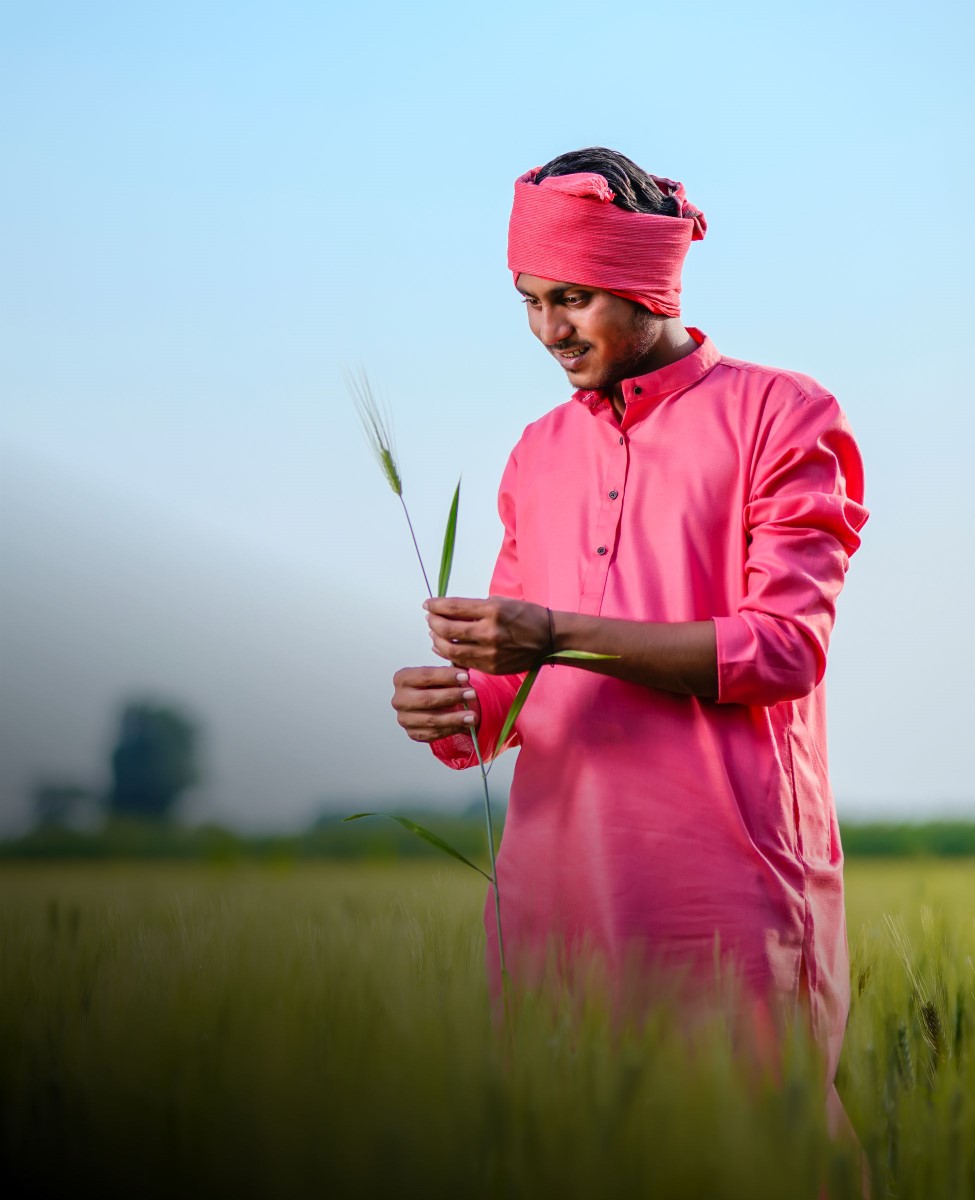Organic & Precision Farming