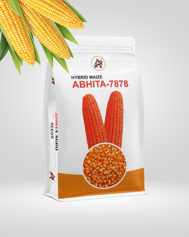 Abhita 7878