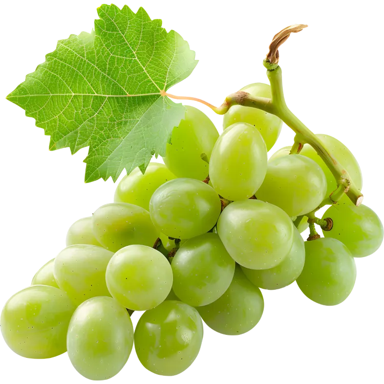 Grapes