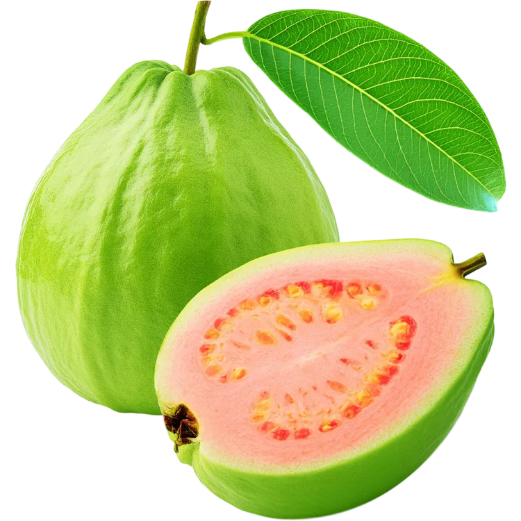 Guava
