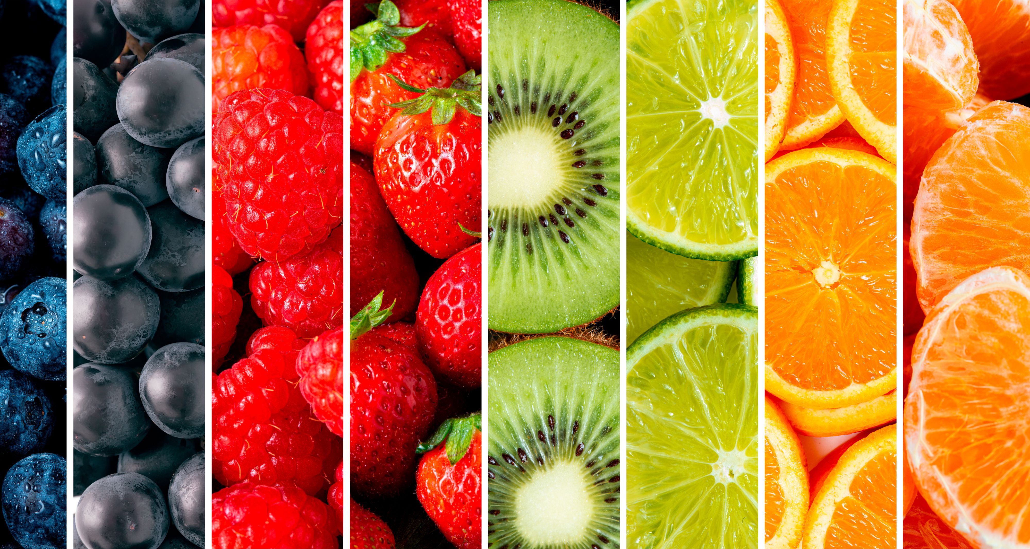 Fruit Division