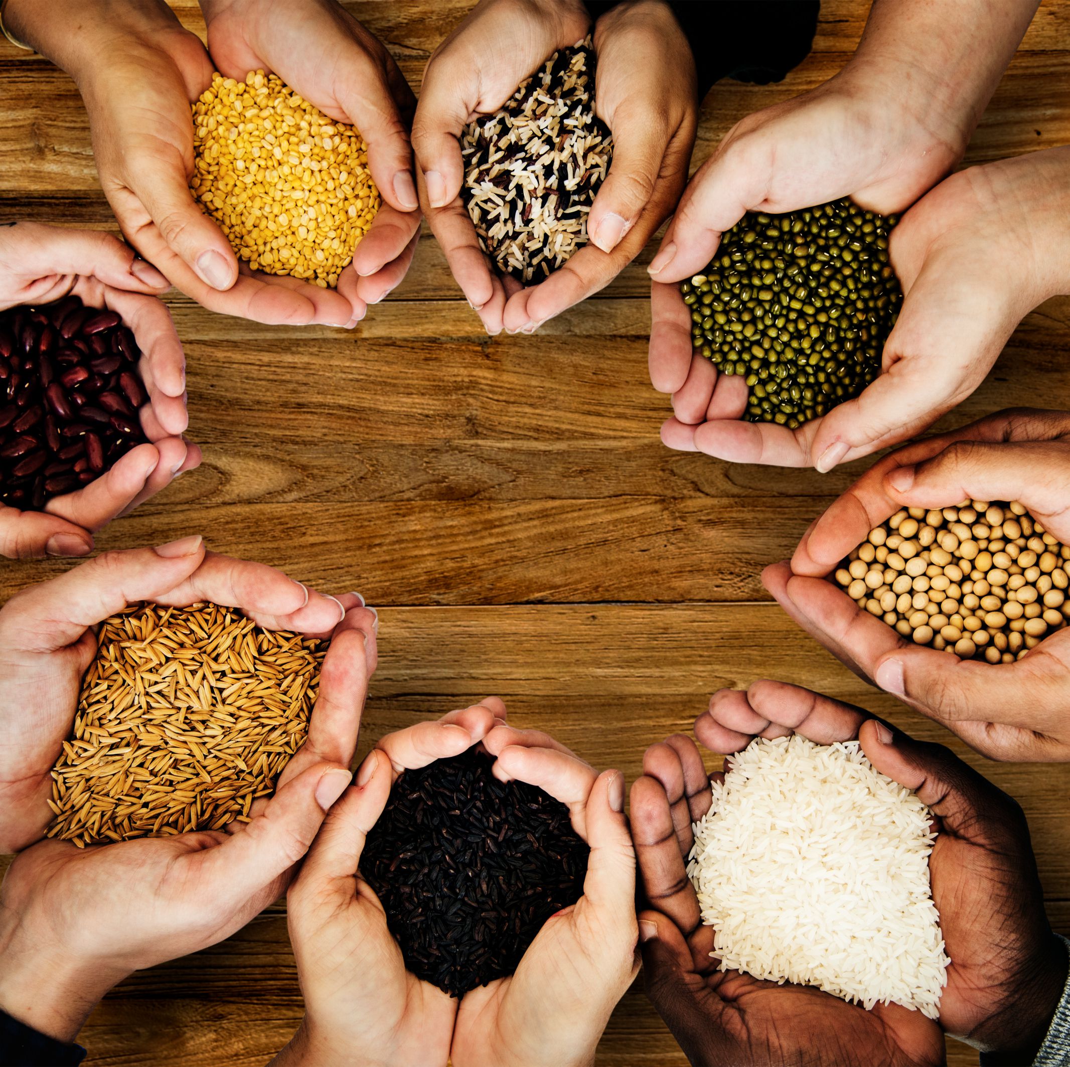 Seed Division