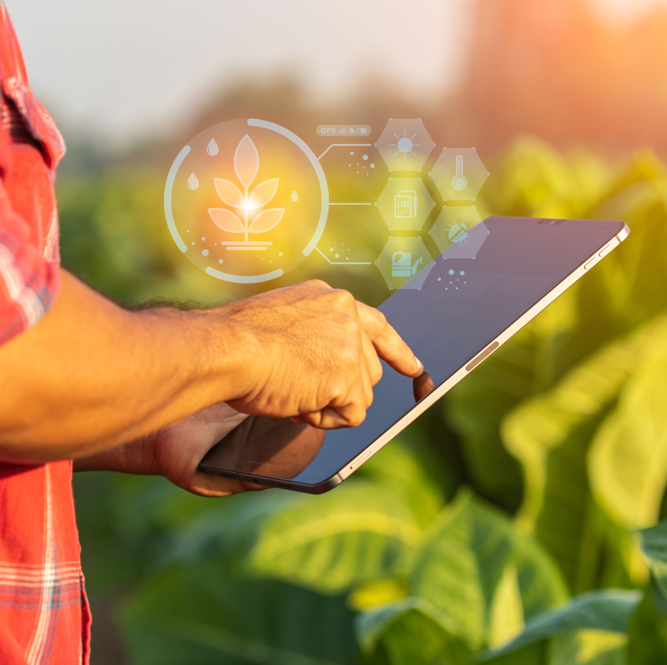 Digital Farming
